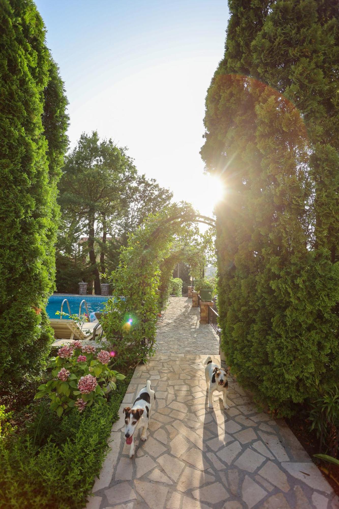 Villa Besha Herceg Novi Buitenkant foto